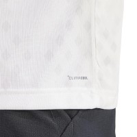 Camiseta Adidas Club Graphic Climacool Blanco Gris