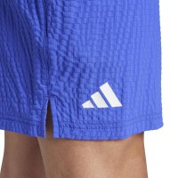 Adidas Ergo Pro Blue Shorts  Offer + Cheap